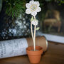 Wooden Christmas Rose With Personalised Terracotta Pot, thumbnail 1 of 8