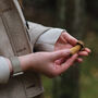 Autumn Foraging Workshop For One In The South Downs, thumbnail 4 of 12