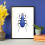 Illustrated Blue Ground Beetle Print, thumbnail 1 of 3