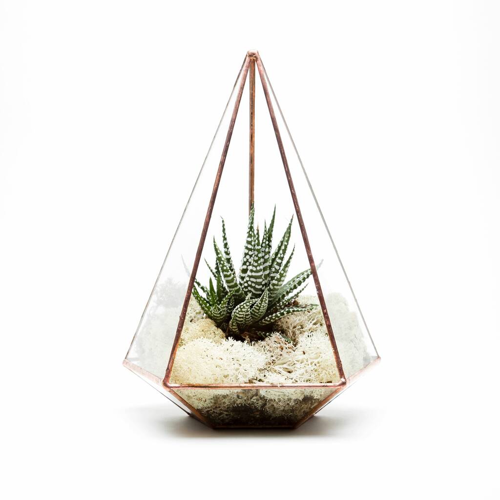 Image of Fully Assembled Copper Aztec Jewel Terrarium