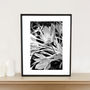 Autumn Crocus #One, Black And White, Art Print, thumbnail 1 of 7