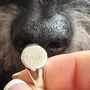 Silver Dog Nose Print Signet Ring, thumbnail 5 of 6