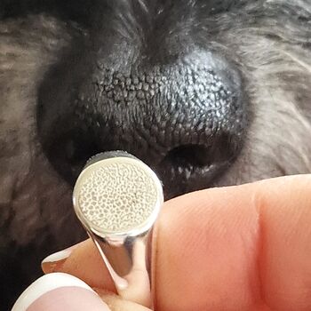 Silver Dog Nose Print Signet Ring, 5 of 6