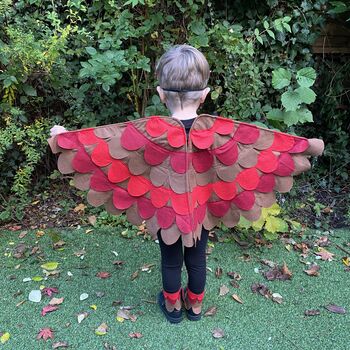 Red Robin Bird Costume For Kids And Adults, 6 of 10