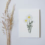 'Oxeye Daisy' Greetings Card, thumbnail 2 of 3