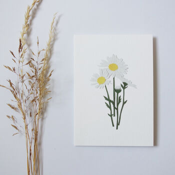 'Oxeye Daisy' Greetings Card, 2 of 3