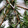 Personalised Baby’s First Christmas Hanging Decoration, thumbnail 2 of 2