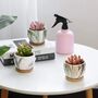 Pack Of Four Modern Marbleize Succulent Pots With Tray, thumbnail 4 of 4