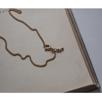 Birthstone Latitude And Longitude Necklace In Gold, 6 of 6