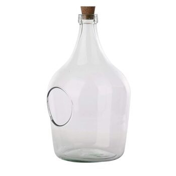 Three Litre Clear Glass Terrarium Bottle Indoor Planter, 2 of 4