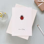 Personalised Romantic Valentines Ladybird Card, thumbnail 1 of 2