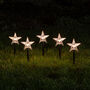 Star Garden Stake Lights, thumbnail 1 of 1