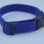 Bright Blue Dog Collar, thumbnail 6 of 12