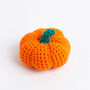 My Pocket Pumpkin Easy Crochet Kit, thumbnail 5 of 8