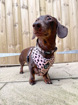 Beige And Black Scruffy Dots Dog Harness, 6 of 9