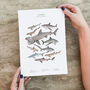 Shark Wildlife Print Unframed, thumbnail 2 of 5