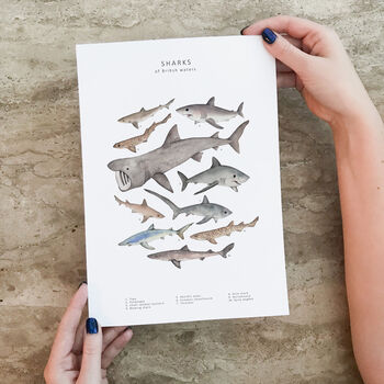 Shark Wildlife Print Unframed, 2 of 5