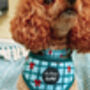 Festive Plaid Christmas Dog Collar, thumbnail 6 of 9