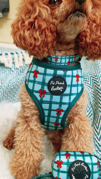 Festive Plaid Christmas Dog Collar, 6 of 9