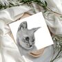 Orkaria The Cat Greeting Card, thumbnail 1 of 6