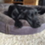 Wraparound Fleece Dog Bed Large, thumbnail 2 of 12