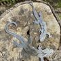 Gecko Reptile Metal Wall Plaque, thumbnail 3 of 8