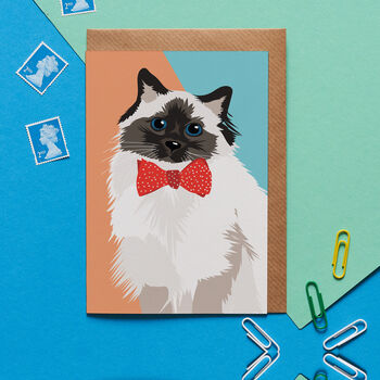 Party Cat Wrapping Paper, 6 of 8