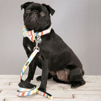 Thurlestone Rainbow Striped Bow Tie Collar And Lead Set, 3 of 5