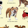 Personalised Dog Print, Dog Gift, Dog Lover Art, thumbnail 2 of 8