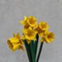 Origami Narcissus Daffodils Bouquet, Mother's Day Gift, thumbnail 3 of 5
