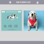 Red Heart Dog Harness Set, thumbnail 6 of 7