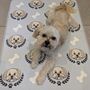 The Ulti Mutt Repeat Personalised Pet Blanket, thumbnail 2 of 12