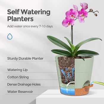 Three Packs White Self Watering Plant Pot, 5 of 8