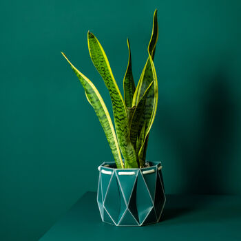 Origami Self Watering Eco Plant Pot: 15cm | Dark Teal, 4 of 10