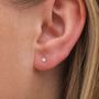Tiny Sterling Silver White Daisy Stud Earrings, thumbnail 1 of 7