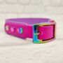 Waterproof Dog Collar And Lead Set Amethyst/Pink Berry, thumbnail 2 of 3