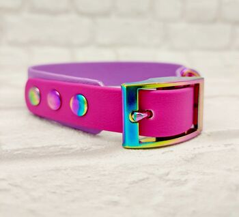 Waterproof Dog Collar And Lead Set Amethyst/Pink Berry, 2 of 3
