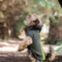 Yorkshire Terrier Polartec Dog Coat, thumbnail 1 of 5