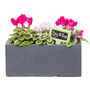 Small Window Box Planter In Hampstead Lead, thumbnail 5 of 6