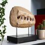 Mosasaurus Jaw In Matrix Bespoke Solid Oak Stand Dinosaur Fossil, thumbnail 1 of 4