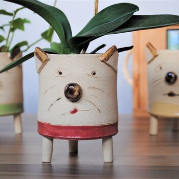 Cat Face Ceramic Plant Pot, 2 of 9