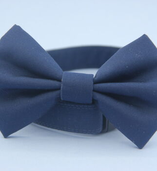 Dark Blue Dog Bow Tie, 8 of 8