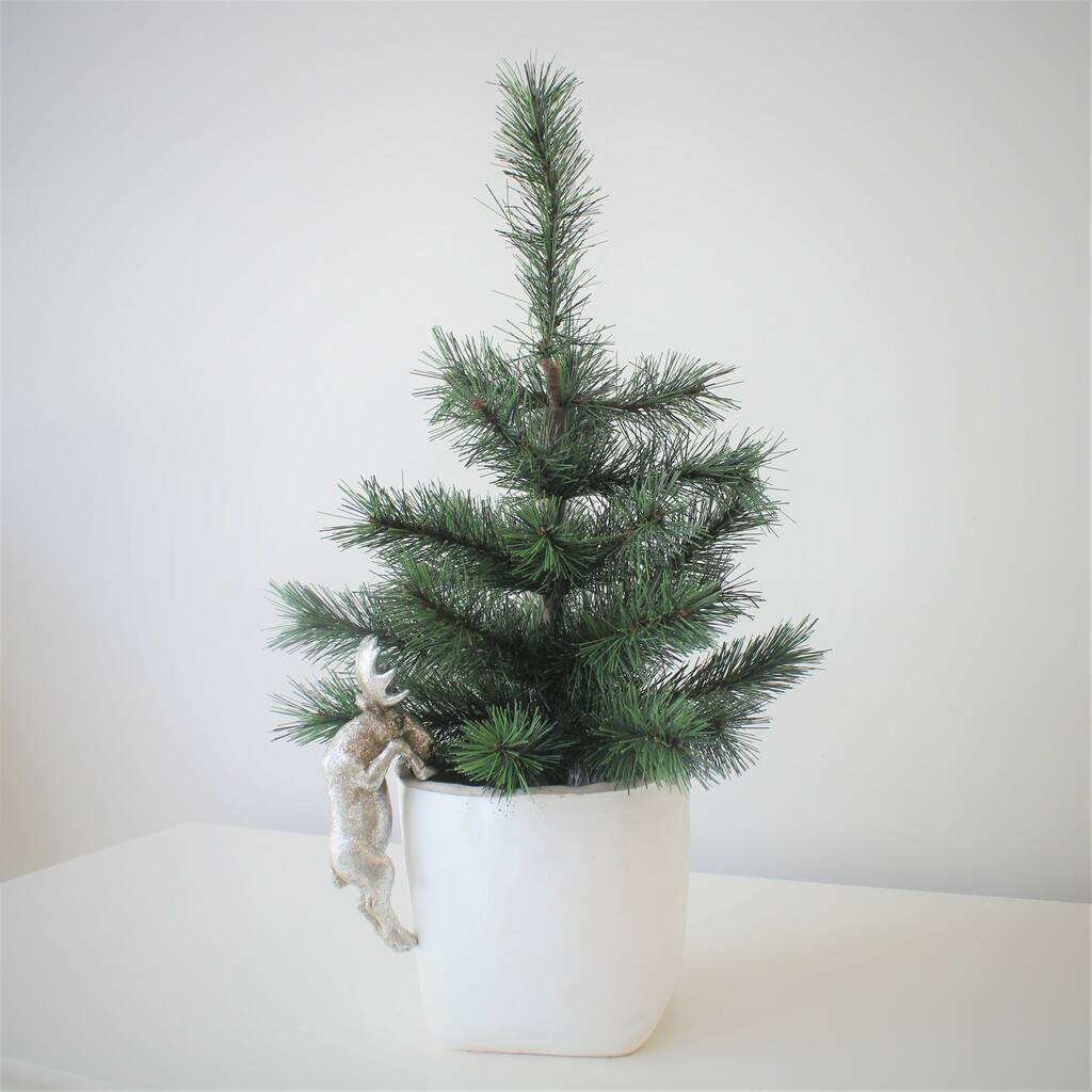 Christmas Tree Planters By Ella James