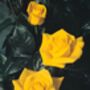 Golden Wedding Rose – Vibrant Yellow Anniversary Rose Bush, thumbnail 1 of 7