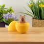 Capybara Easter Tiny Little Gifts, thumbnail 2 of 2