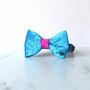 Pink And Blue Velvet Dog Bow Tie, thumbnail 2 of 3