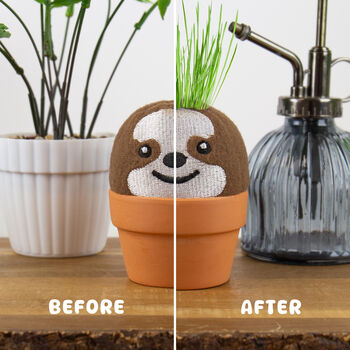 Grow Your Own Sloth Grow Pal, 2 of 4