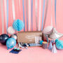Blue Party In A Box, thumbnail 1 of 7