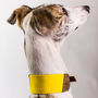 Personalised Cork And Felt Greyhound Dog Collar, thumbnail 4 of 10