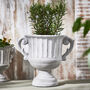 Arcadia Large Grecian Urn Plant Pot, thumbnail 1 of 7